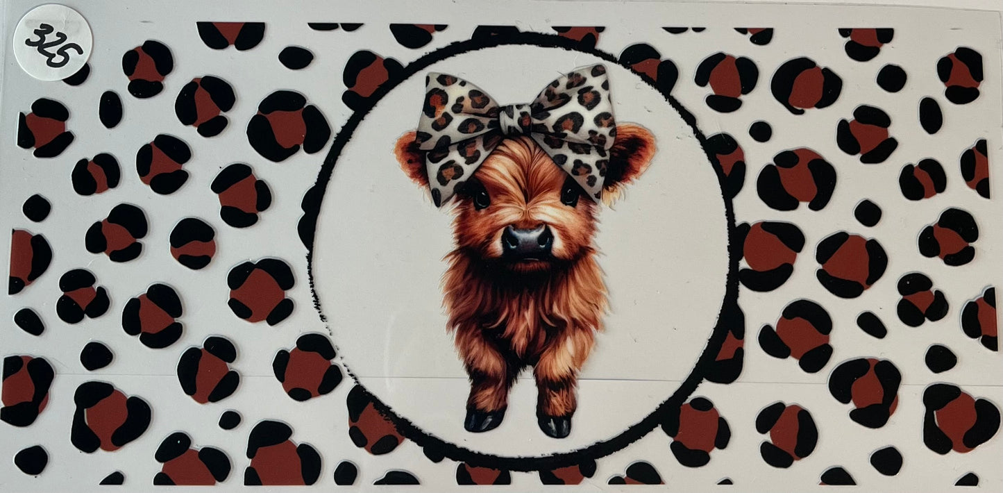 Animals & Insects