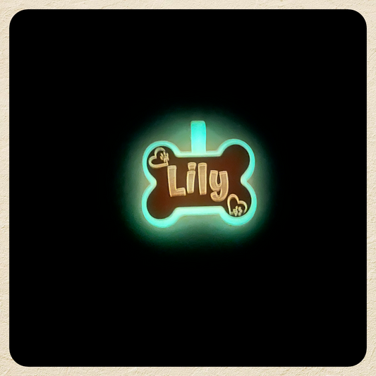 Silicone Custom Glow in the dark Dog tag