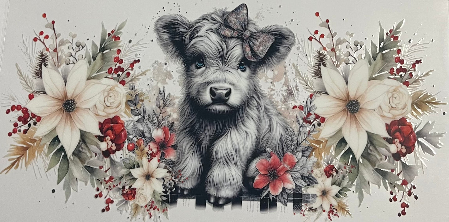Animals & Insects