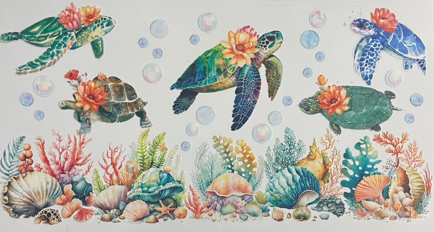 Animals & Insects
