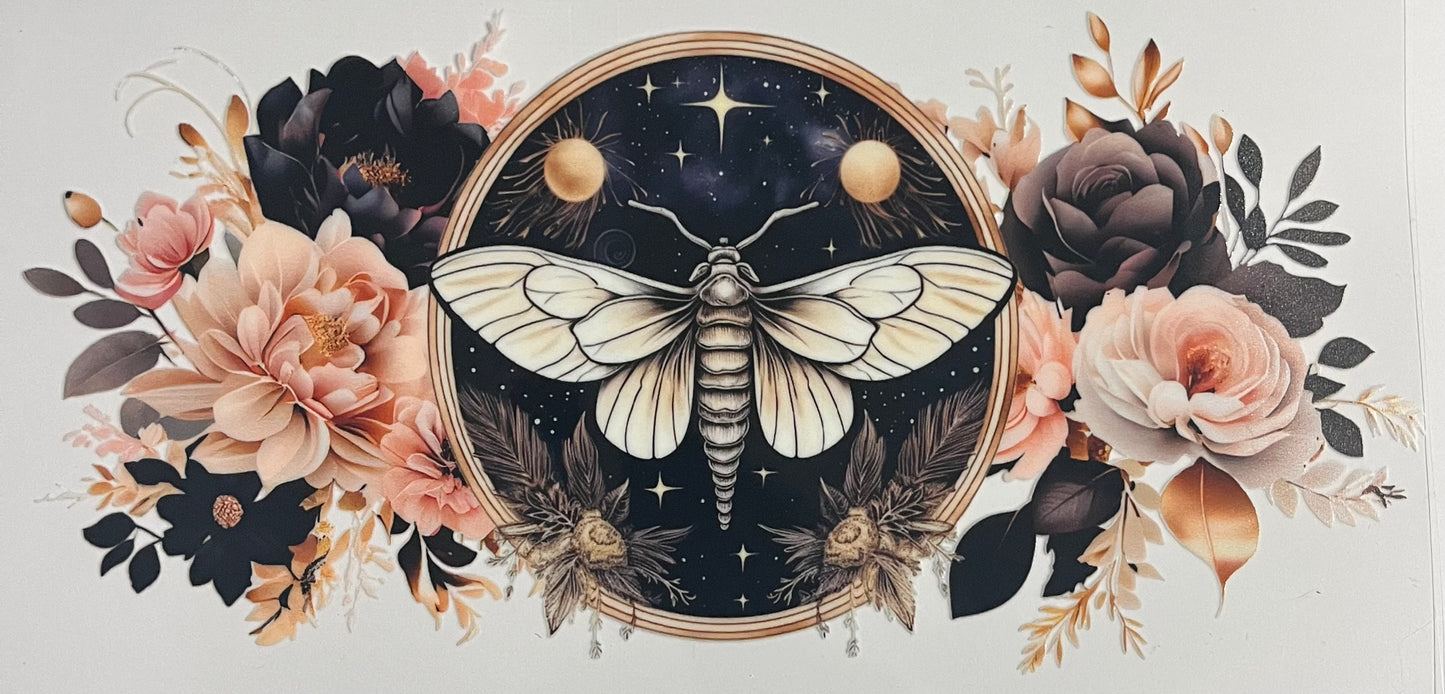 Animals & Insects