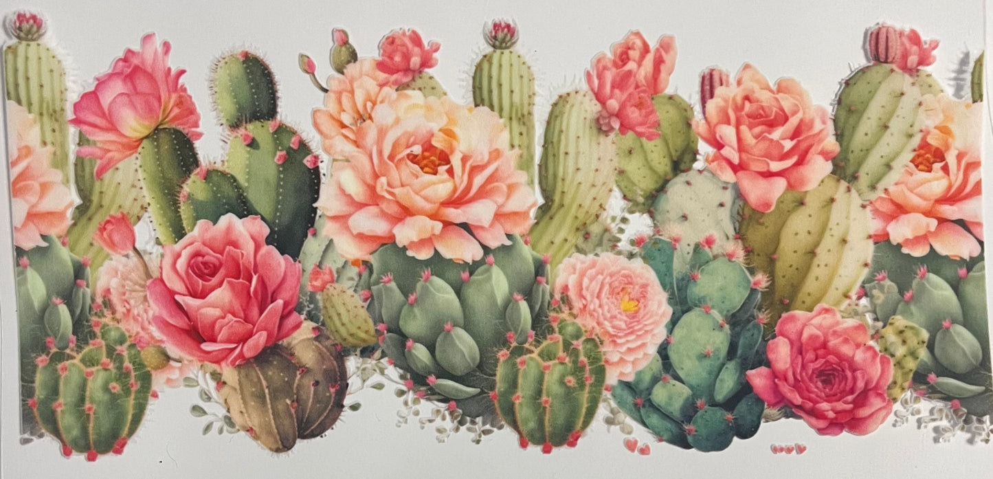 Flowers & Plants