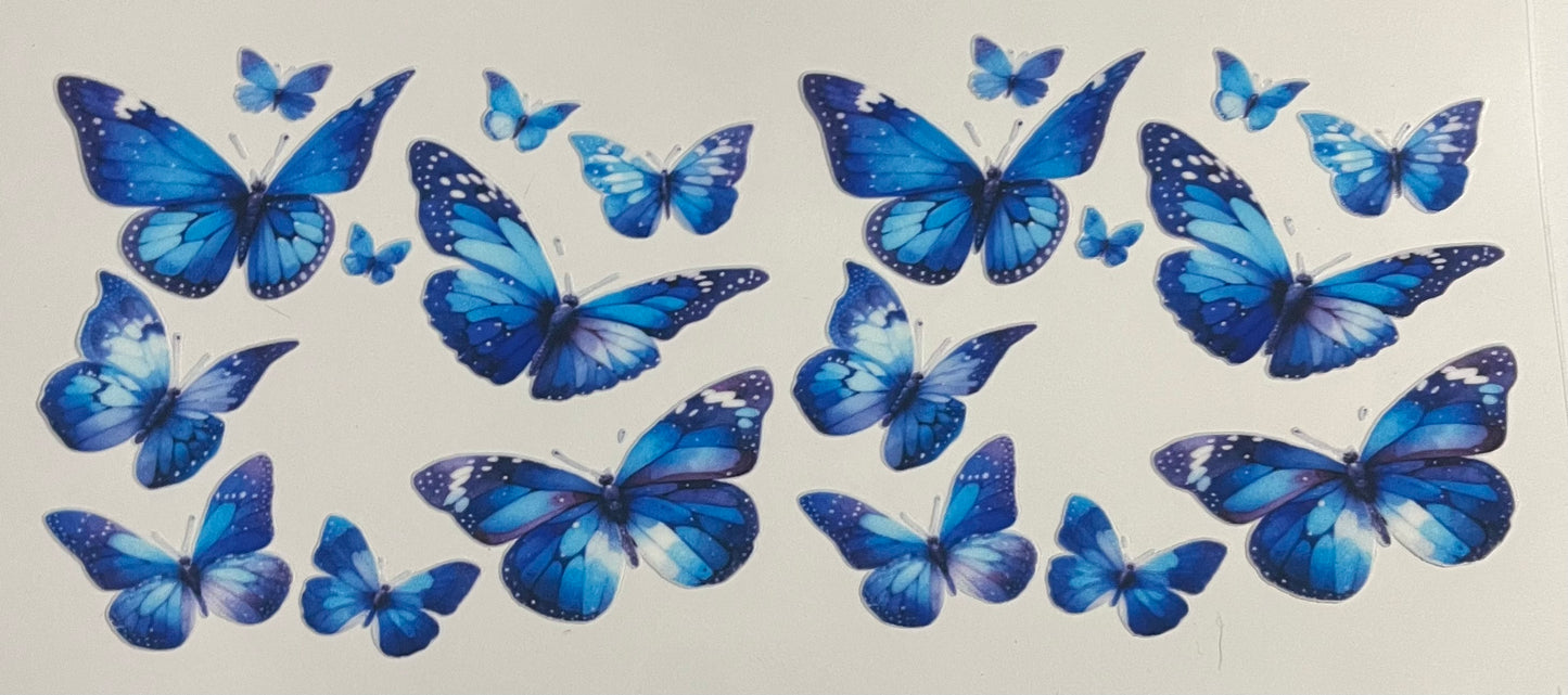Animals & Insects